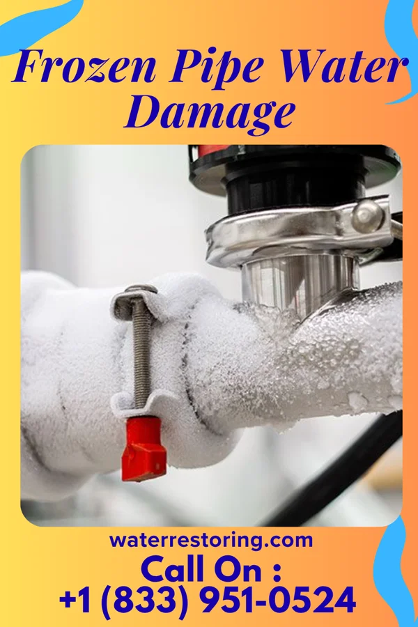 Frozen Pipe Water Damage in Sky Lake, FL
