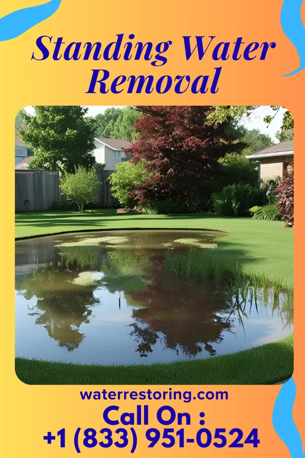 Standing Water Removal in Sky Lake, FL